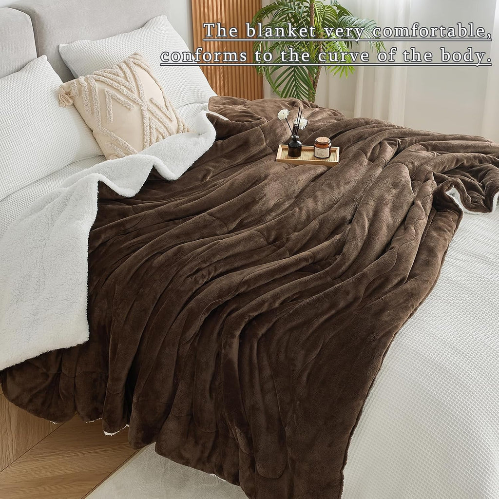 Thick & Warm Sherpa Fleece Blanket Twin Size for Winter Bed